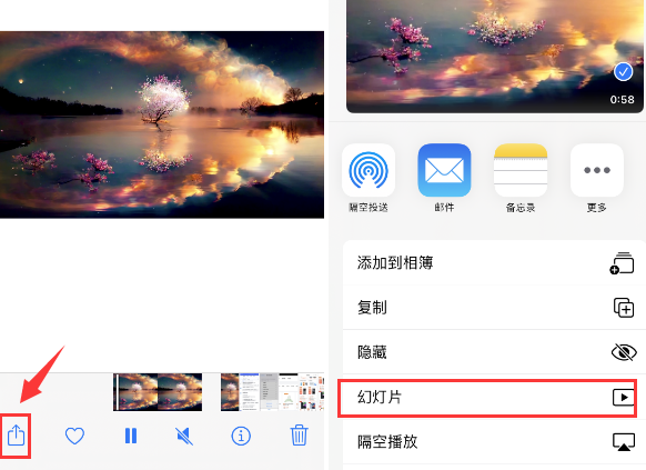 阿拉尔苹果14维修店分享iPhone14相册视频如何循环播放 