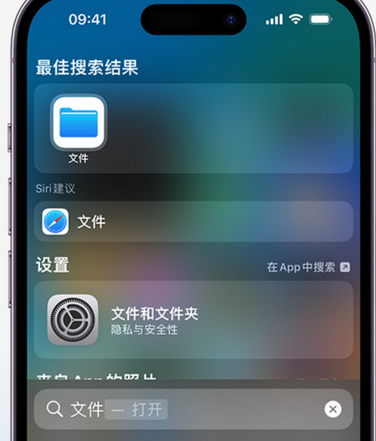 阿拉尔apple维修中心分享iPhone文件应用中存储和找到下载文件