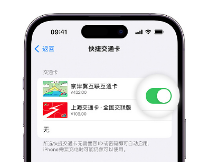 阿拉尔apple维修点分享iPhone上更换Apple Pay快捷交通卡手绘卡面 