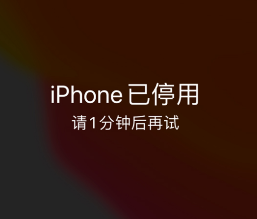 阿拉尔苹果手机维修分享:iPhone 显示“不可用”或“已停用”怎么办？还能保留数据吗？ 