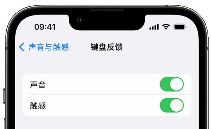 阿拉尔苹果手机维修分享iPhone 14触感键盘使用方法 