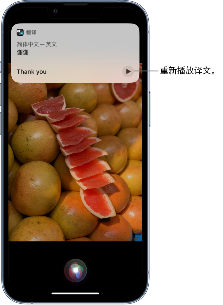 阿拉尔苹果14维修分享 iPhone 14 机型中使用 Siri：了解 Siri 能帮你做什么 