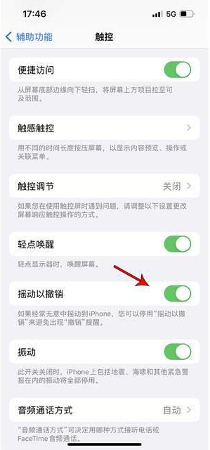 阿拉尔苹果手机维修分享iPhone手机如何设置摇一摇删除文字 